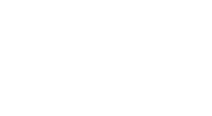 Success Academies